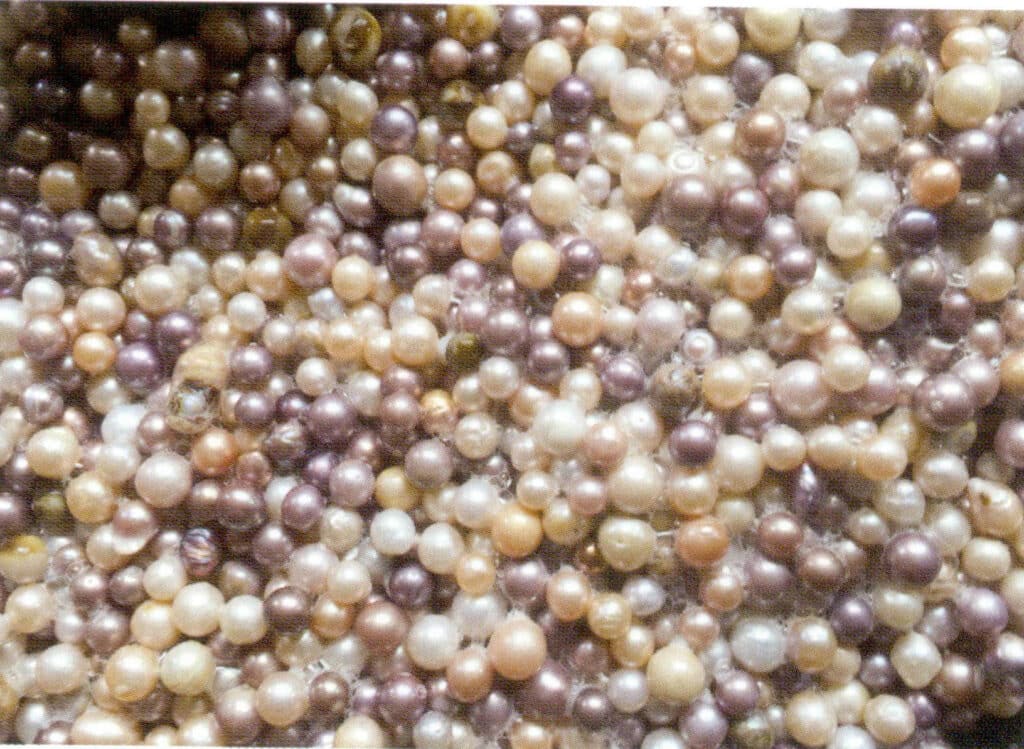 Figure 1-5-7 Cleaning Pearls (2)