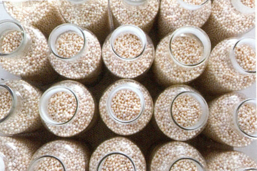 Figure 1-5-18 Light-colored pearls waiting to be bleached and whitened 