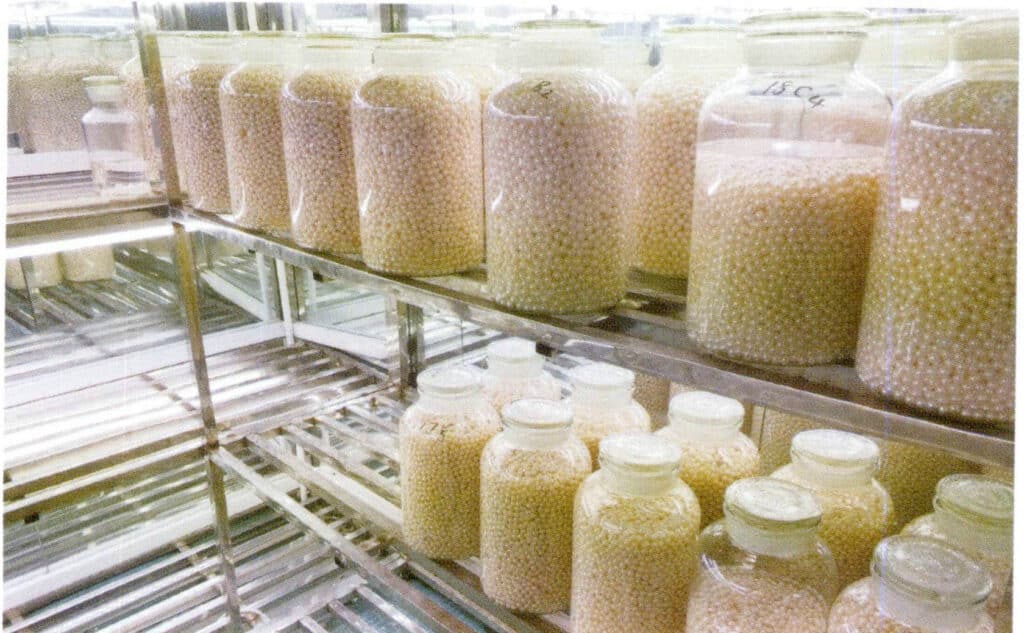 Figure 1-5-22 Pearls being bleached and whitened (3)