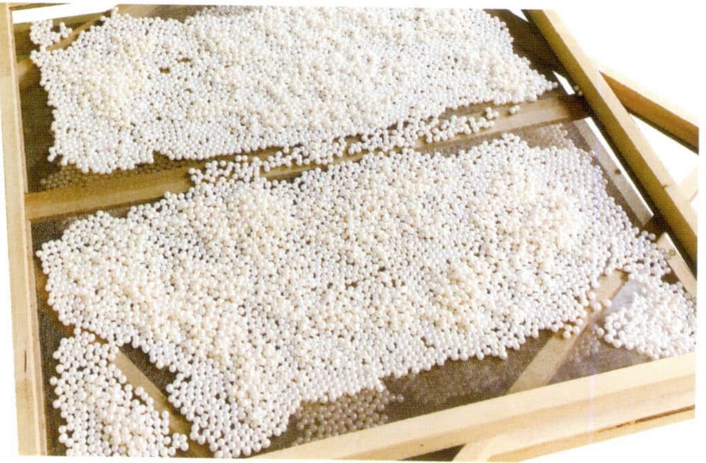 Figure 1-5-26 Pearls drying after bleaching and whitening