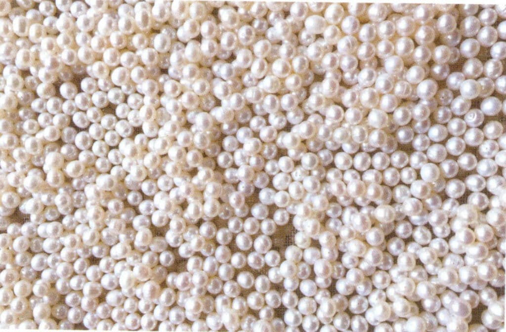 Figure 1-5-27 Pearls after bleaching and whitening