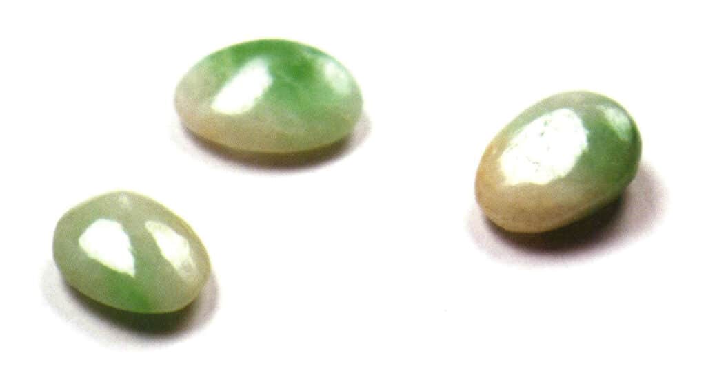Figure 3-2-6 Glassy and oily gloss (Jadeite, reflected light)