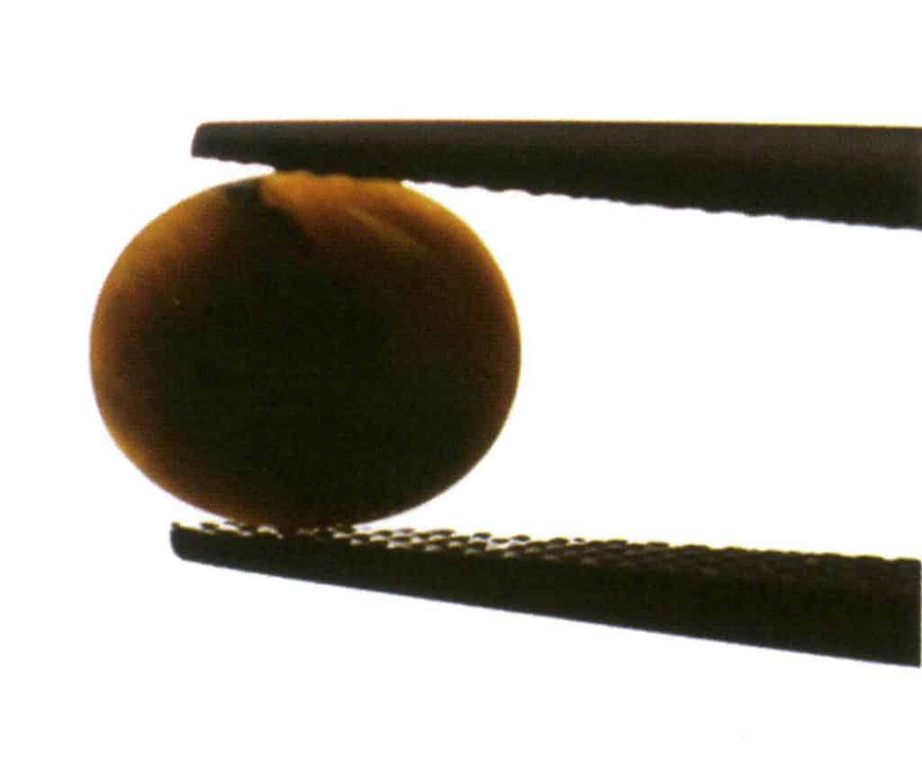 Figure 3-2-26 Slightly transparent (tiger's eye, transmitted light)