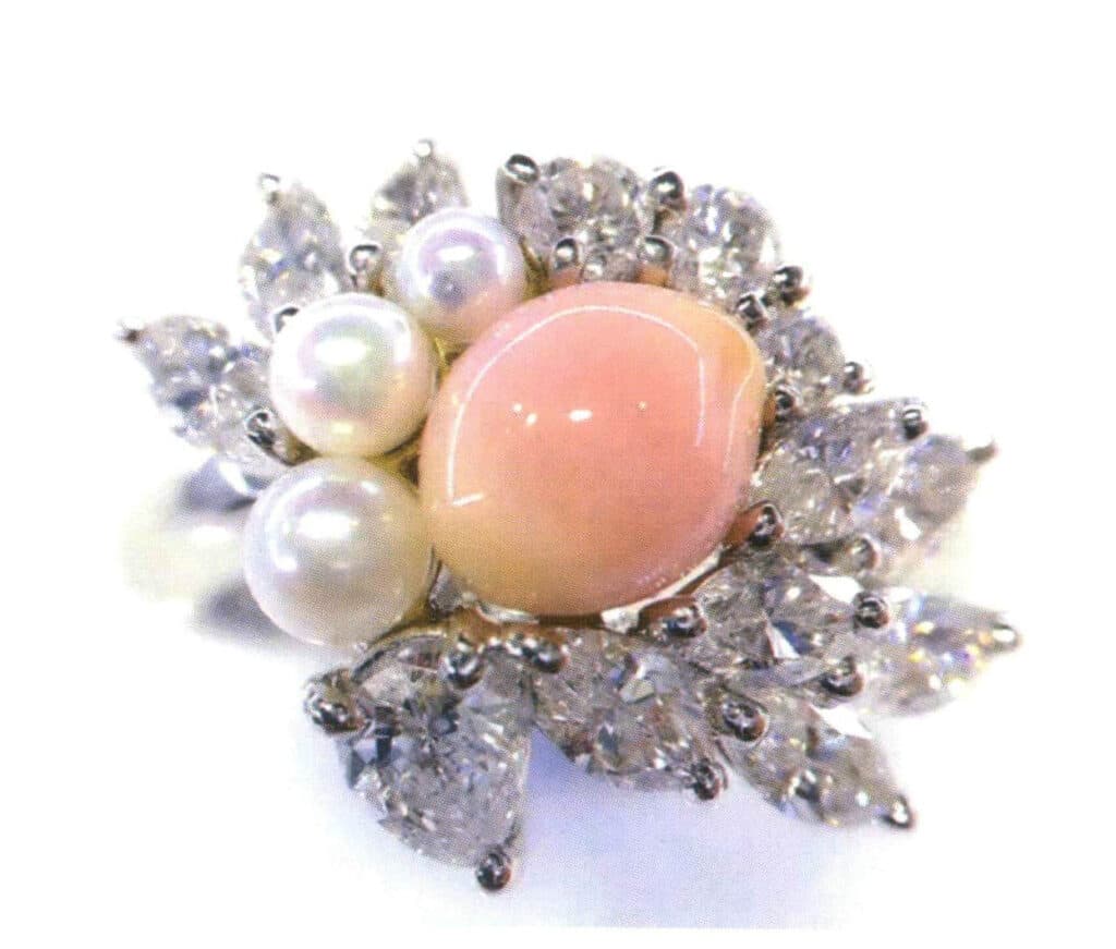 Şekil 4-1-16 Kabuklu İnci