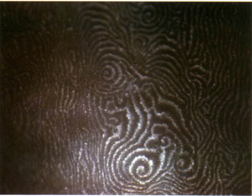 Şekil 4-1-17 İnci yüzeyinde büyüme deseni