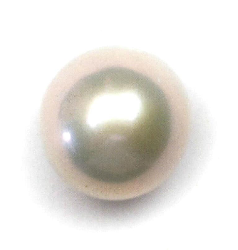 Şekil 4-2-1 İnce inci tabakalı inci (güçlü yansıyan ışık altında, incinin orta ve kenarının rengi büyük ölçüde kontrastlıdır ve açık siyah gri inci gövdesinin renginden farklıdır)