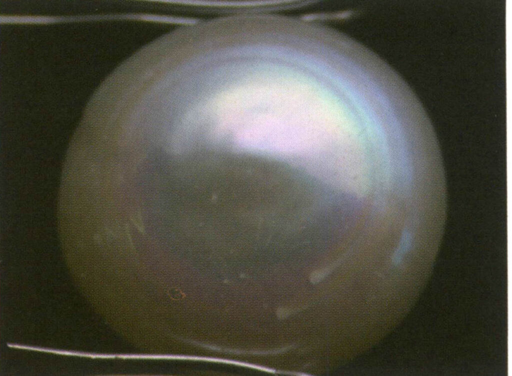 Şekil 4-2-9 Belirgin yanardönerliğe sahip inciler