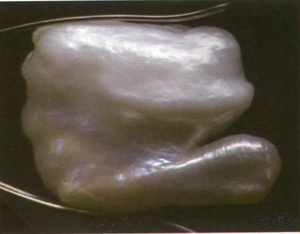 Şekil 4-2-11 Bu düzensiz incinin üst kısmı göze çarpmayan bir yanardönerliğe sahipken, alt kısmı belirgin bir yanardönerlik gösterir.