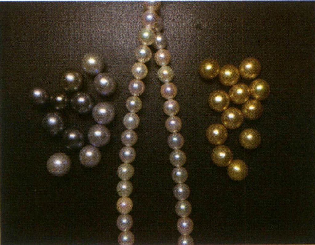 Şekil 4-2-15 Güçlü parlaklıkta deniz suyu incileri (vurgular net ve kenarlarda keskin)