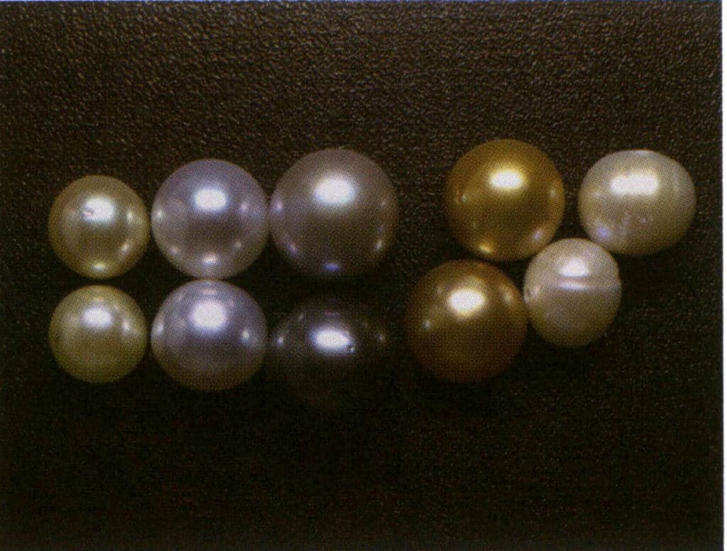 Şekil 4-2-16 İnci parlaklığı karşılaştırması (soldan sağa, ilk sütun Japon incileri, ikinci, üçüncü ve dördüncü sütunlar deniz suyu incileri ve en sağdaki sütun tatlı su incileridir)