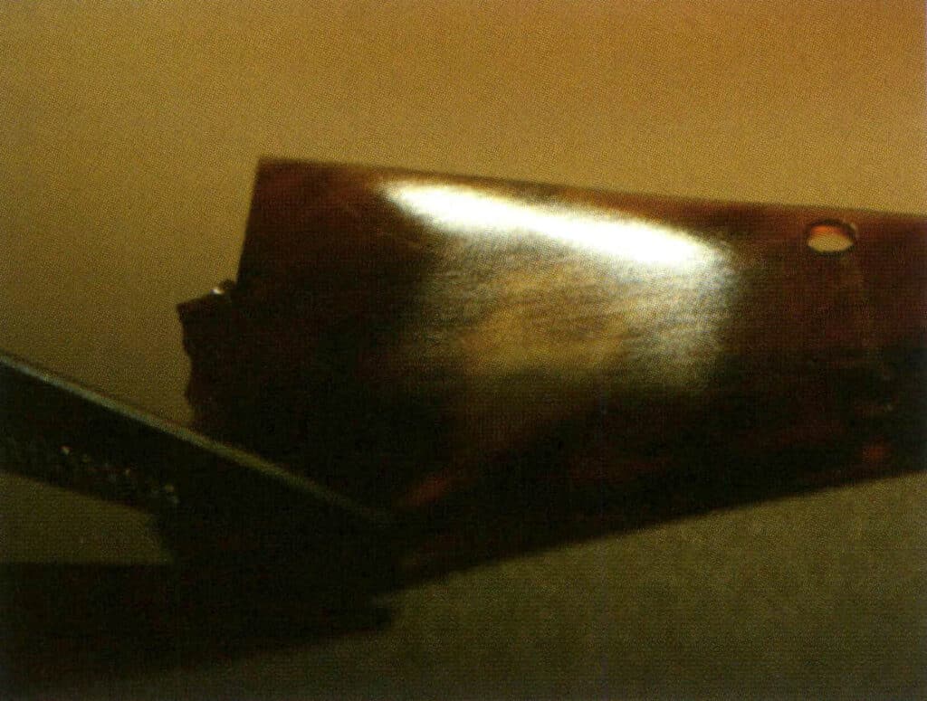 Şekil 4-2-17 Reçineli parlak kaplumbağa kabuğu