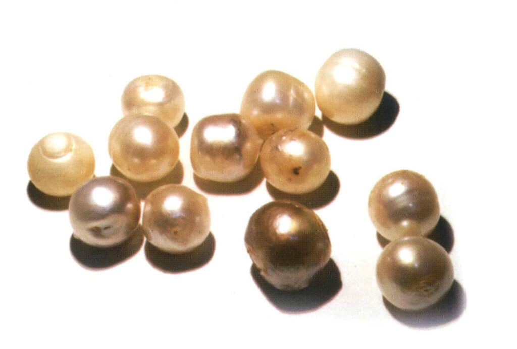 Şekil 4-2-22 Mikro-translusent inci