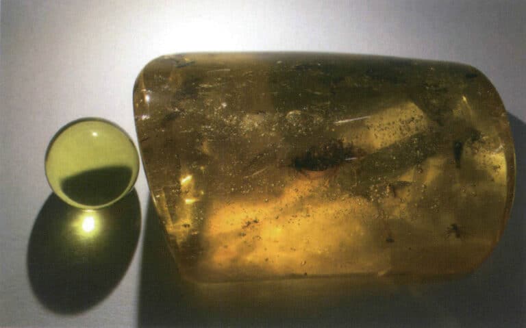 Şekil 4-2-24 Kehribar (solda) ve kopal reçine (sağda) arasındaki doku karşılaştırması, kehribar'ın iç dokusu kopal reçineden daha nettir.