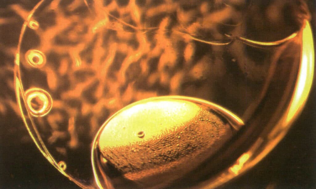 Şekil 4-2-39 Kehribar içinde gaz-sıvı iki fazlı inklüzyonlar (karanlık alan aydınlatma yöntemi, 20X)