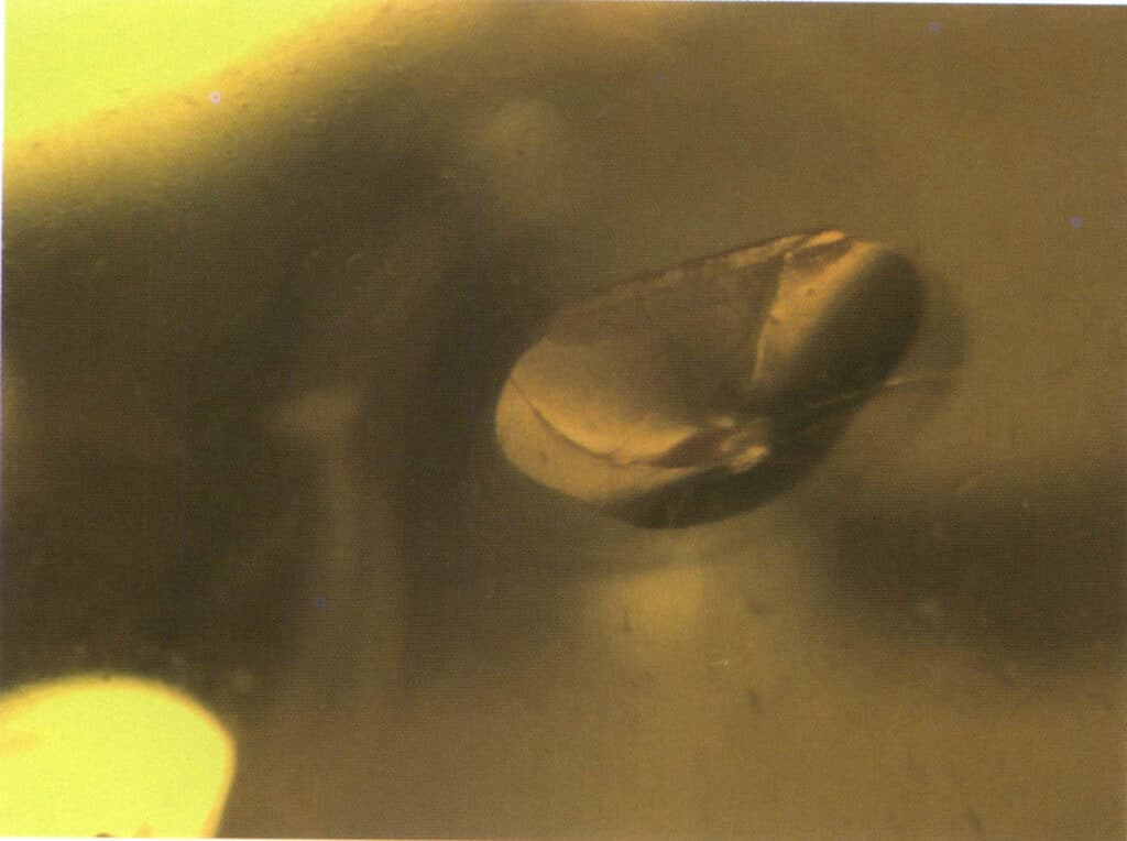 Şekil 4-2-45 Plastikteki Çatlaklar (Karanlık Alan Aydınlatması, 40X) En ünlü çeşidi yeşilimsi bir renk tonuna sahip mavi Amber'dir.