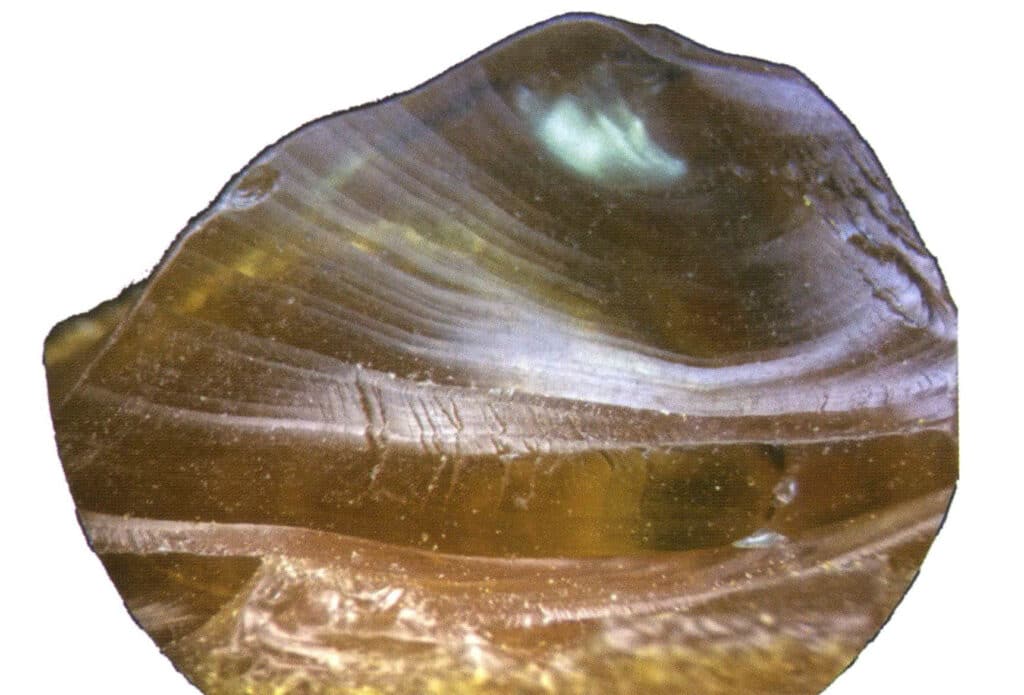 Şekil 4-3-2 Kehribar kabuğu benzeri kırıkların farklı desenleri