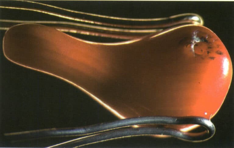 Şekil 4-3-6 Bambu mercanı