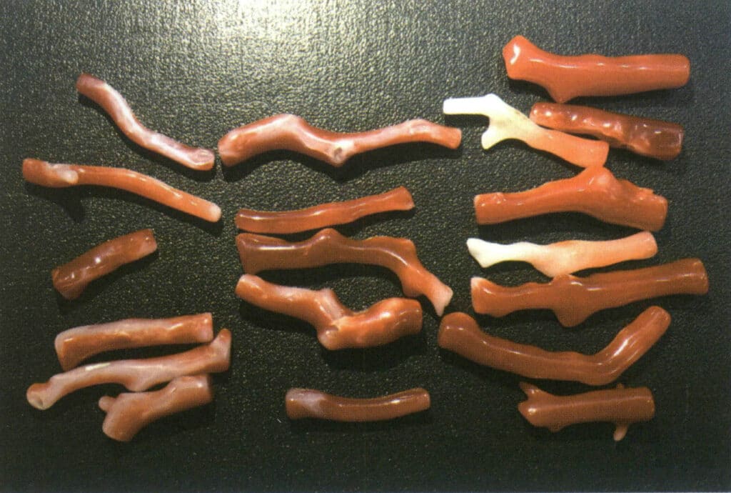 Şekil 4-3-7 Akka mercanı