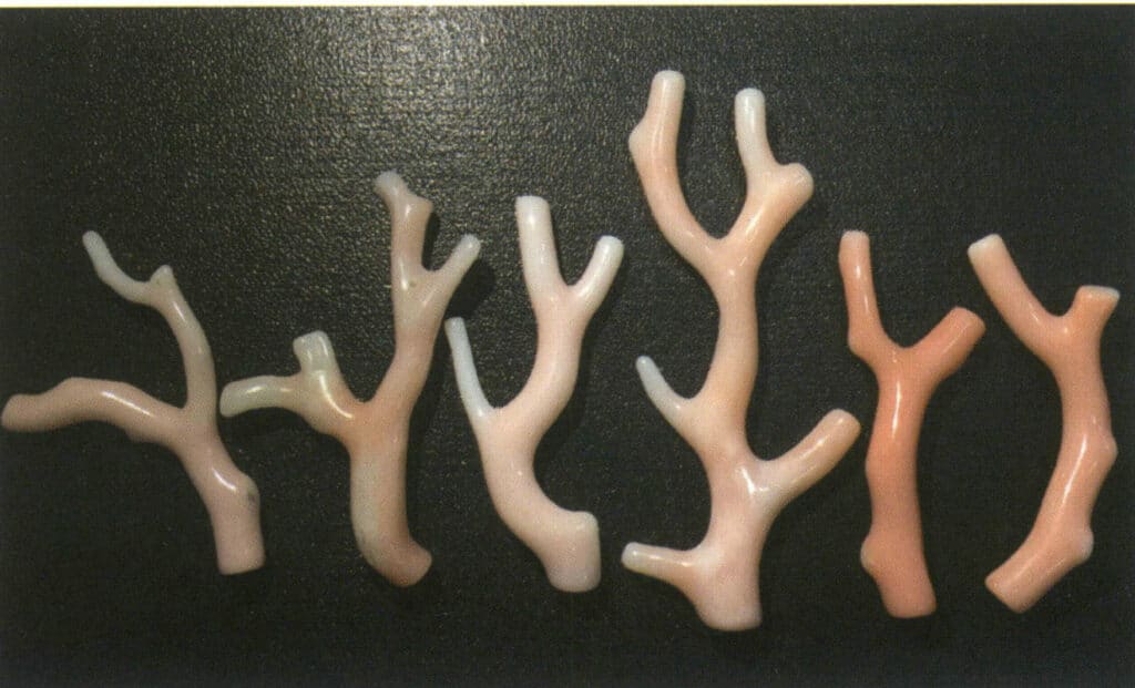 Şekil 4-3-9 Momo Mercan