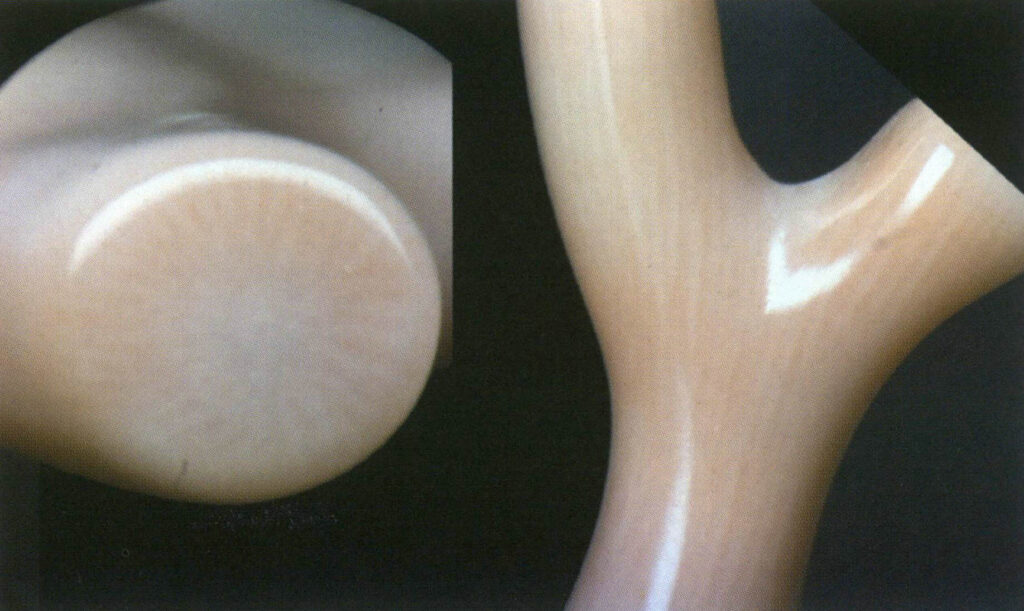 Şekil 4-3-10 Momo mercanının enine kesitlerinin karşılaştırılması.