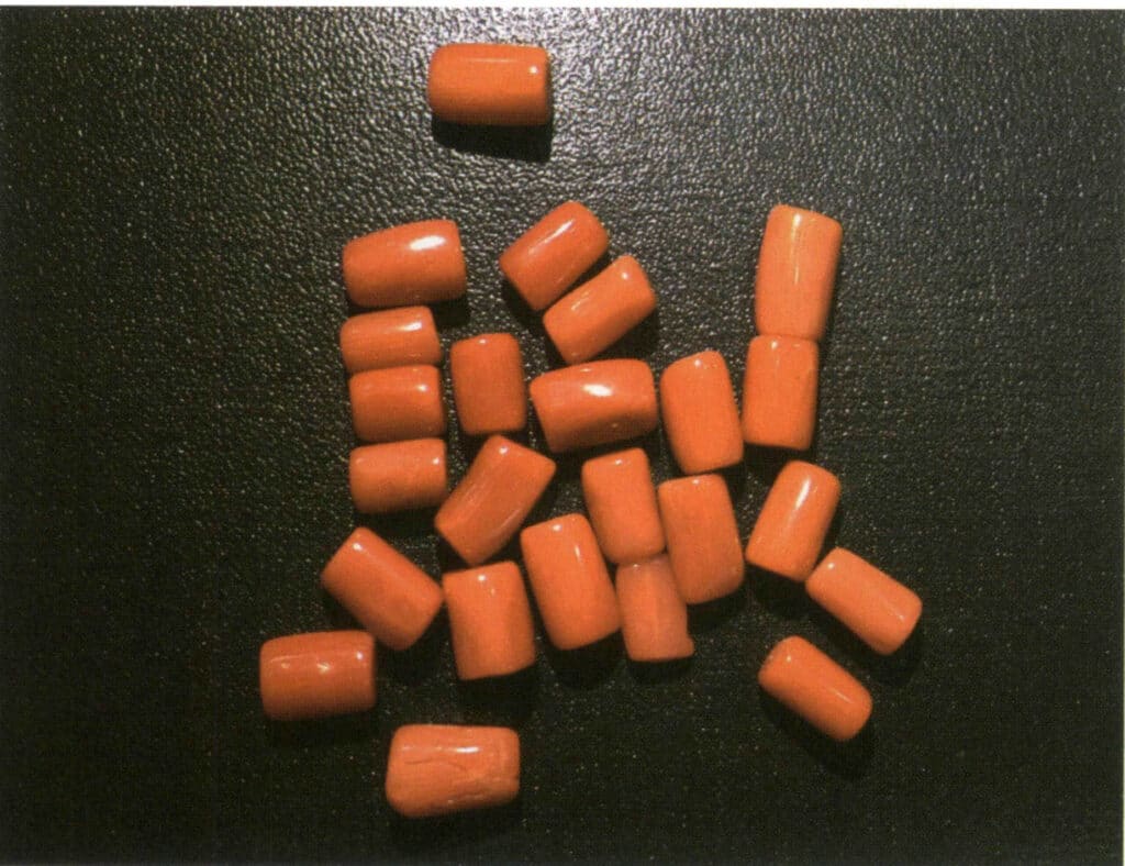 Şekil 4-3-11 Sardinya Mercan