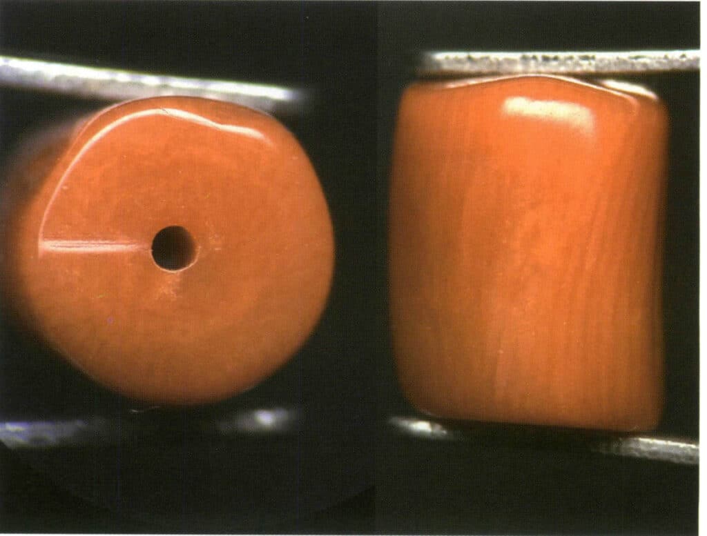 Şekil 4-3-12 Sardin Mercanının yatay ve dikey kesitlerinin karşılaştırılması