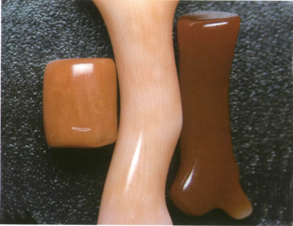 Şekil 4-3-14 Sardin Mercan, Momo Mercan ve Akka Mercan'ın büyüme halkası görünürlüğünün karşılaştırılması