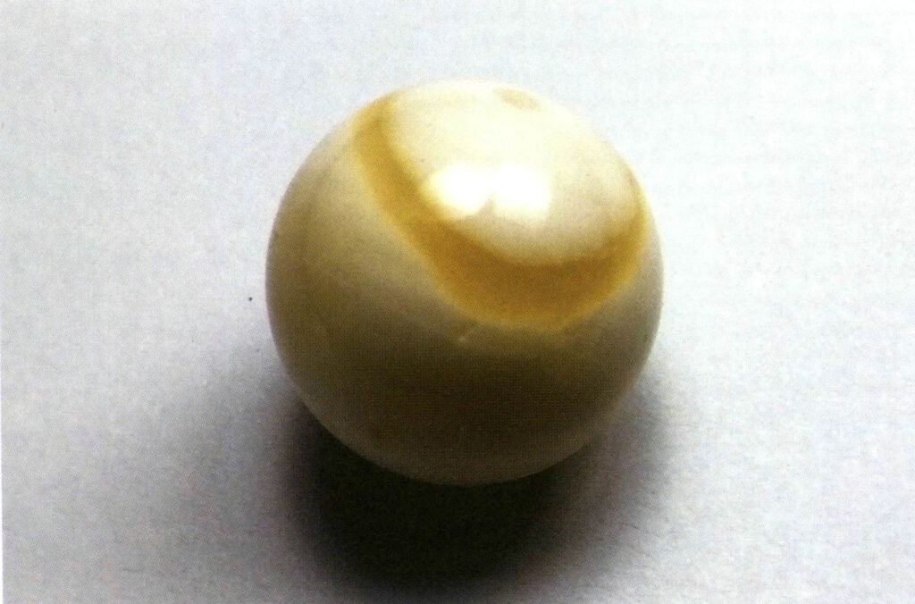 Şekil 4-3-16 Altın Tridacna