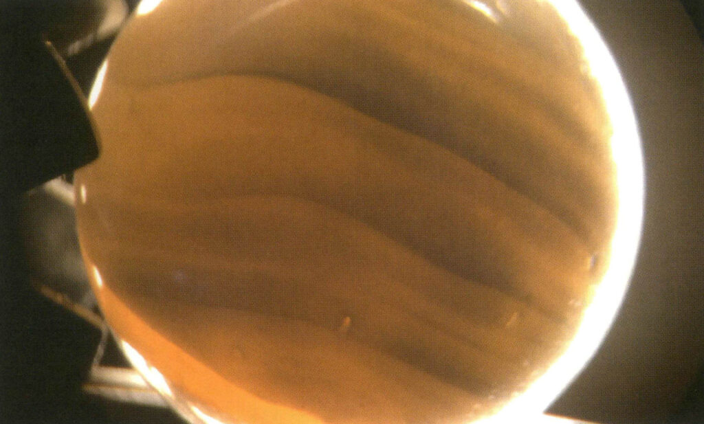 Şekil 4-3-17 Altın Tridacna'nın düzensiz saydamlığı (10X, karanlık alan aydınlatma yöntemi