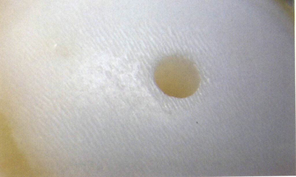 Şekil 4-3-18 Altın Tridacna'nın yüzey deseni (40X, dikey aydınlatma yöntemi)