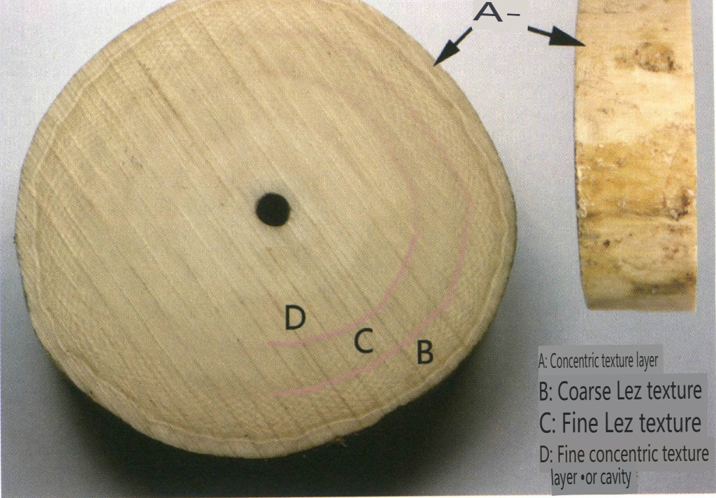 Şekil 4-3-20 Fildişi Yapısı