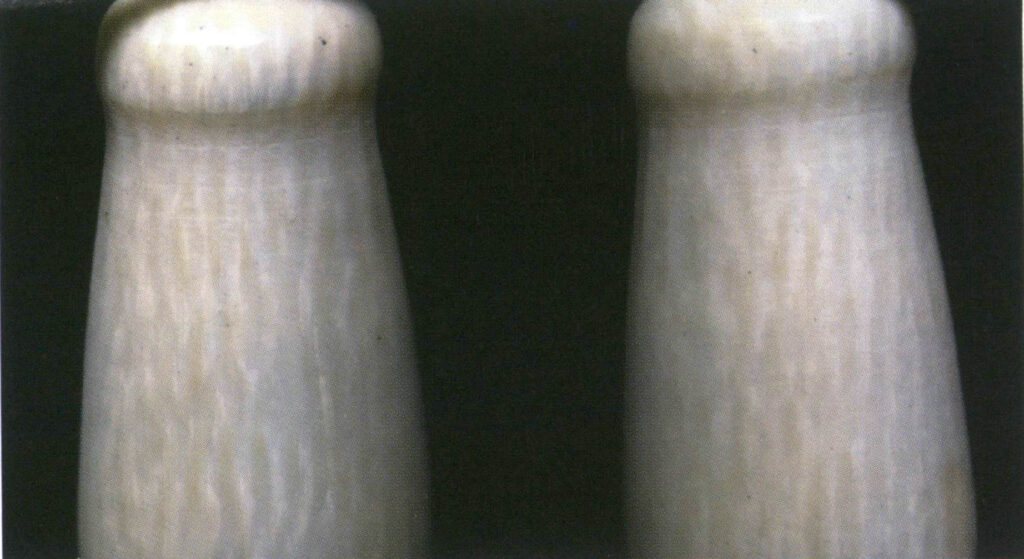 Şekil 4-3-22 Fildişi boylamasına kesitin mikrodalga benzeri dokusu neredeyse paralel olarak aralıklı bir şekilde dağılmıştır.