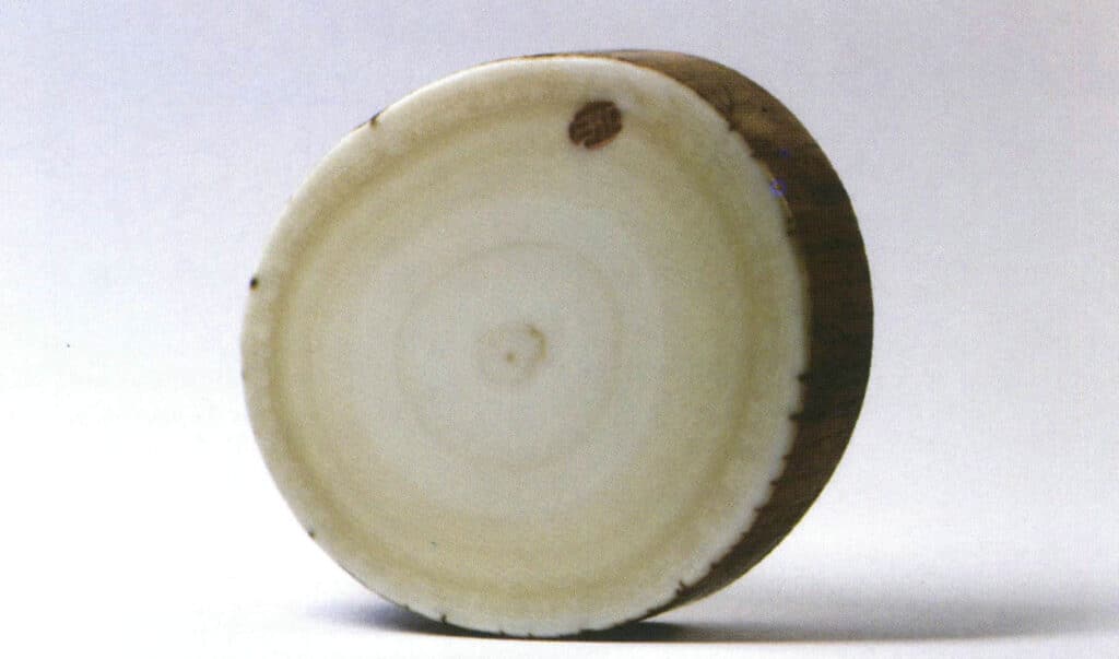 Şekil 4-3-23 Mamut Fildişi