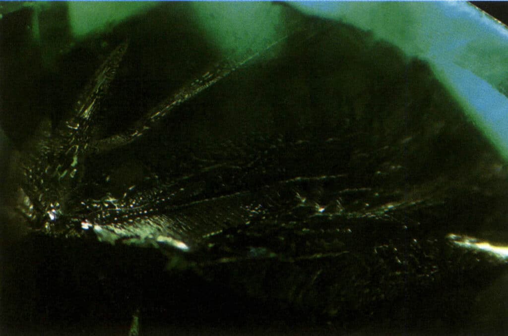 Σχήμα 1-1-4 Σύνθεση εσωτερικών ρευστών εγκλεισμάτων σμαραγδιού με τη μέθοδο ροής ( 40Χ, μέθοδος φωτισμού σκοτεινού πεδίου)