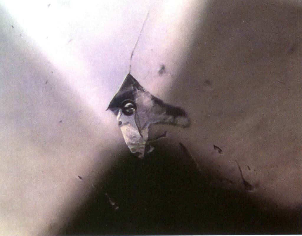 Σχήμα 1-1-6 Διφασική ένωση αερίου-υγρού (Topaz, μέθοδος φωτισμού σκοτεινού πεδίου, 40X)