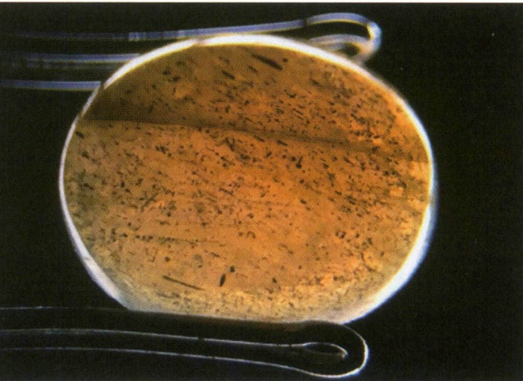 الشكل 2-3-43 الشفافية (الفلسبار المسحوب، الضوء المنقول)