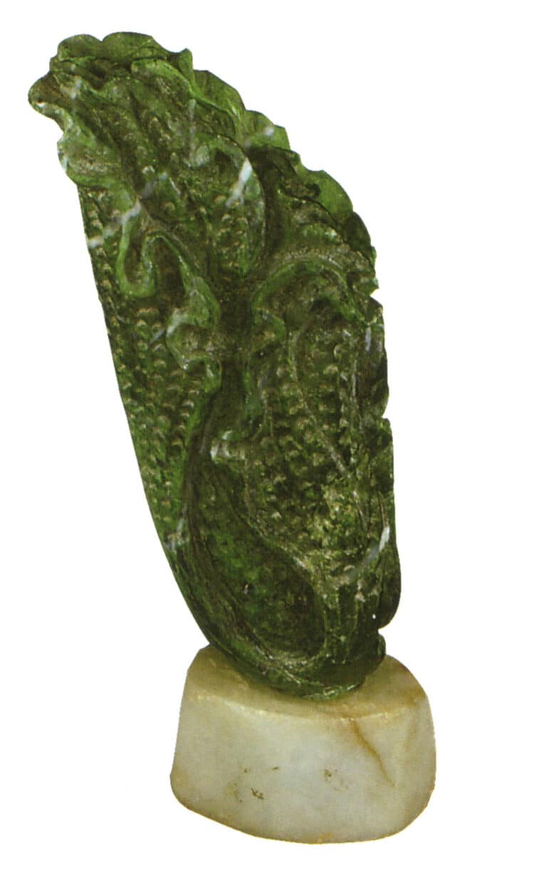 Intaglio di cavolo verde secco