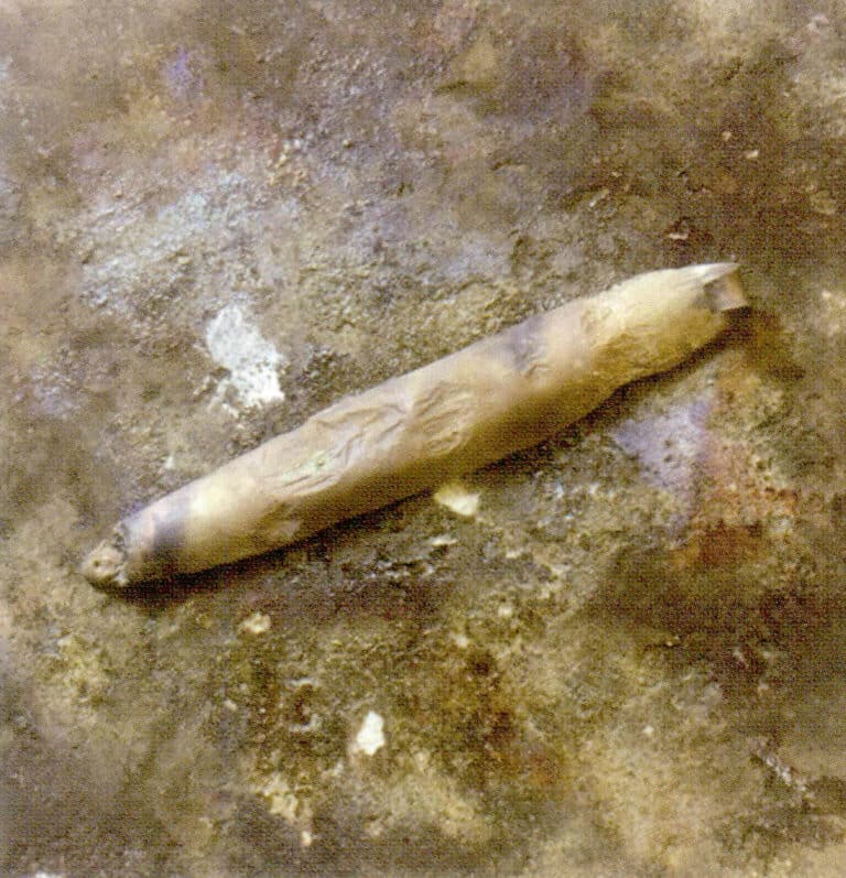 4. Use the wrinkling technique to achieve the desired effect.