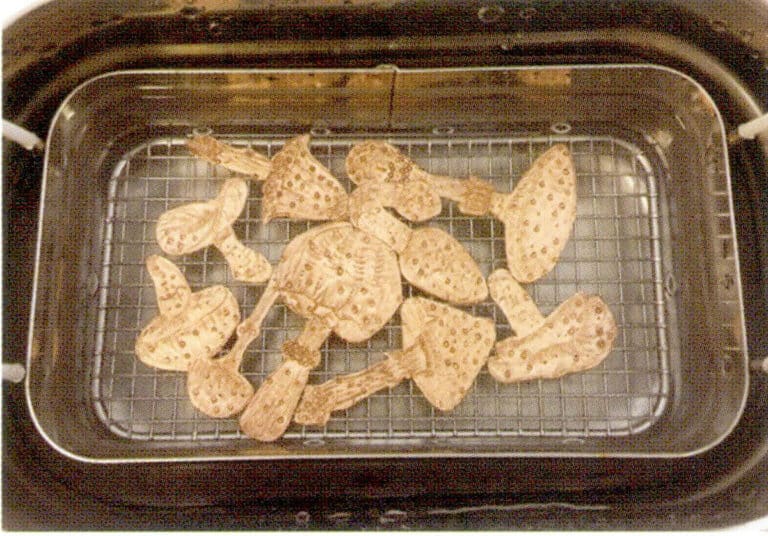 7. After polishing, please place it in an ultrasonic tumbler for cleaning, which completes the production.