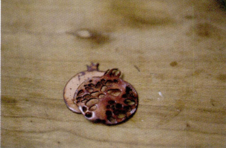 9. The air-dried pomegranate is now complete.