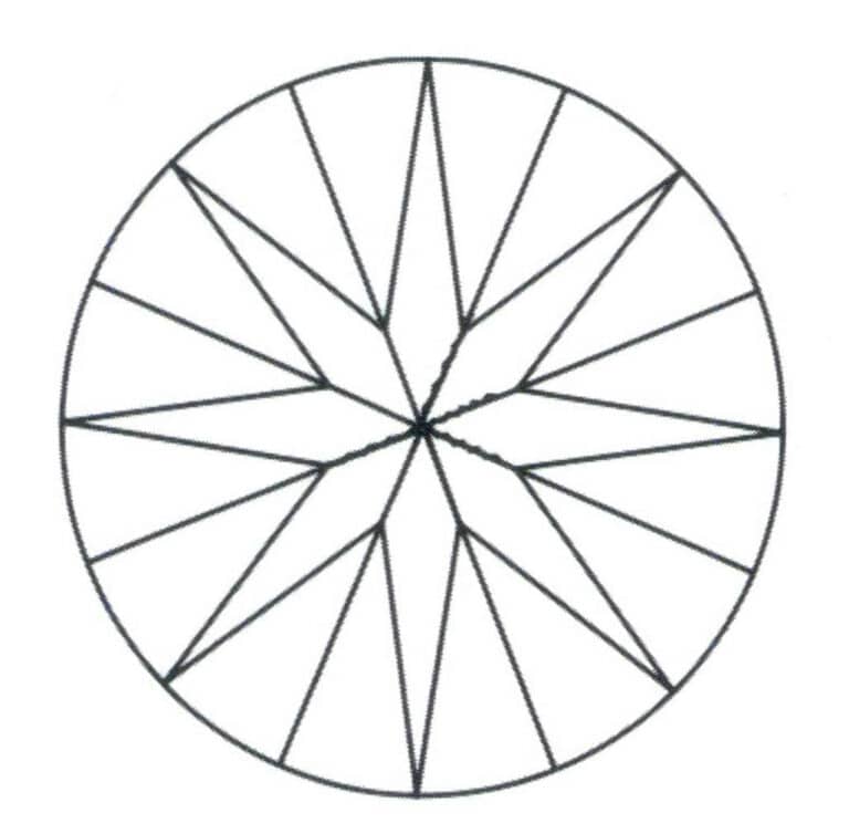 図9-24 花の先端