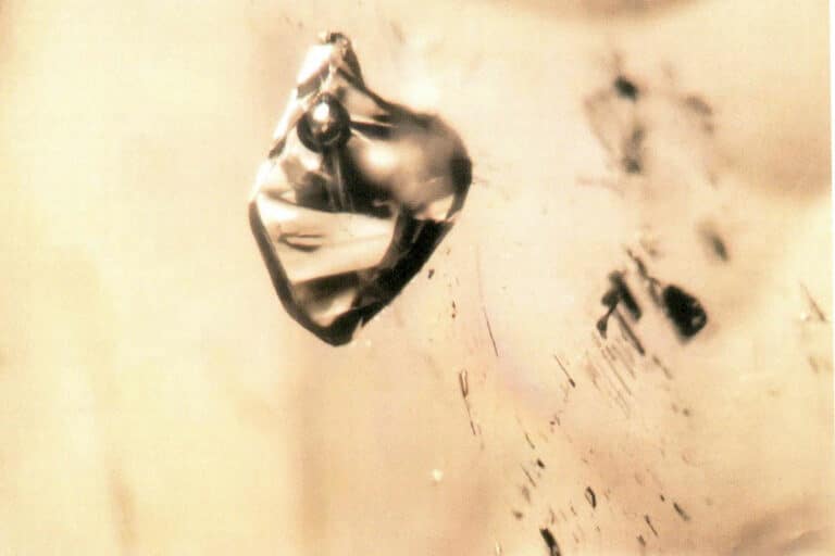 Figure 1-20 Solid-Liquid-Gas Three-Phase Inclusion