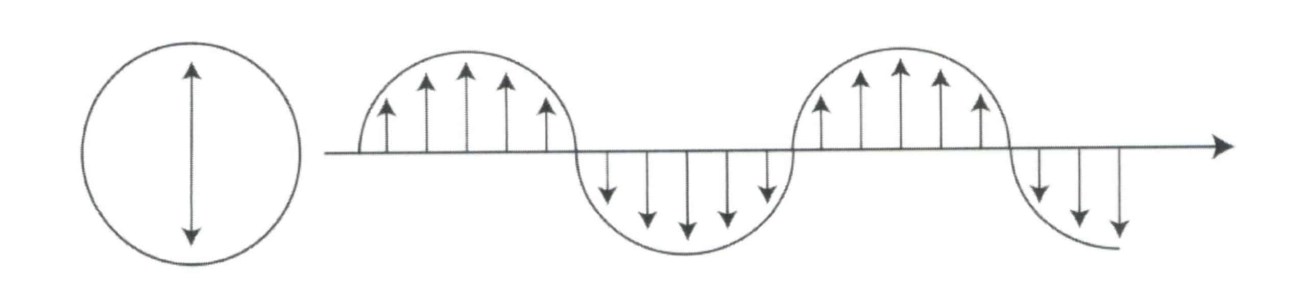 Figure 1-34 Polarized light vibrates only in a certain direction of vertical light propagation