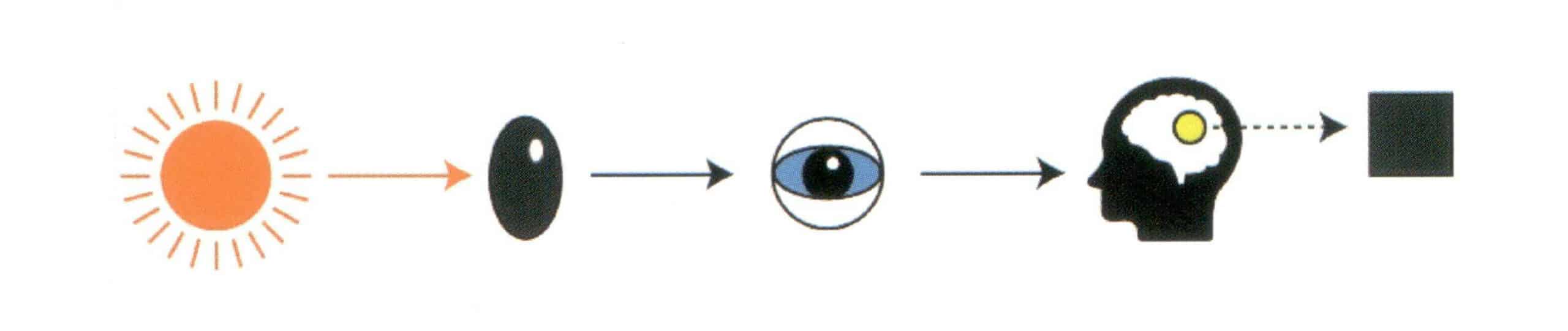 Figure 1-35 The Process of Color Perception