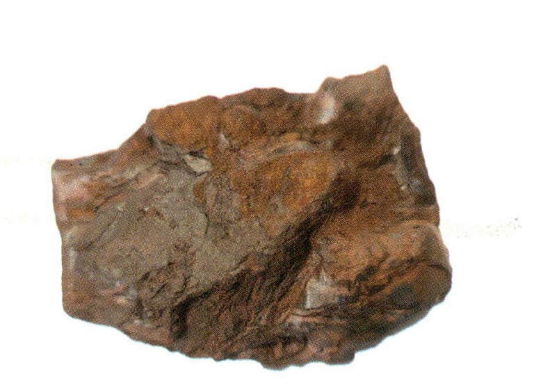 Figure 1-39 Sub-metallic Luster