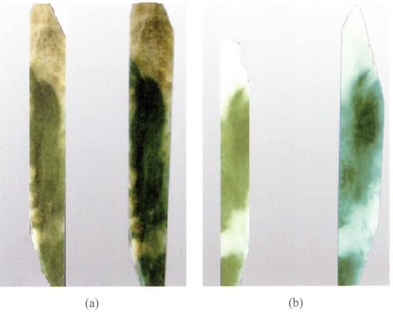 Figure 4-3 Color changes of jade before (a) and after (b) bleaching