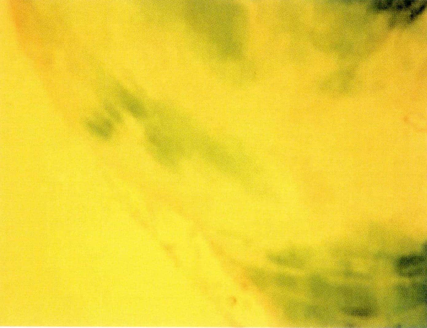 Figure 6-11 Boundary of the Colored Part in Colored Jade