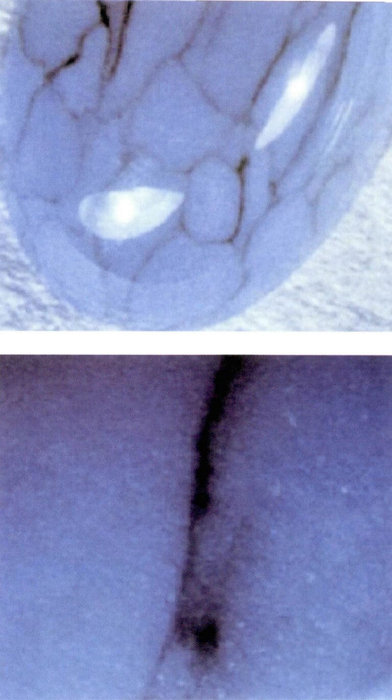 Figure 6-33 Synthetic turquoise with black substances and spherulitic structure