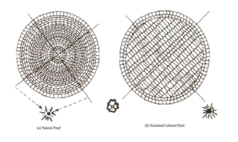 Figure 7-3 X-ray diffraction patterns of natural pearls and cultured pearls with nuclei