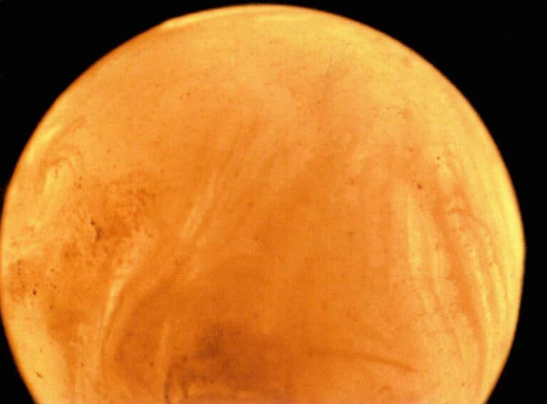 Figure 7-8 Blood streak-like agitite structure in reconstructed amber